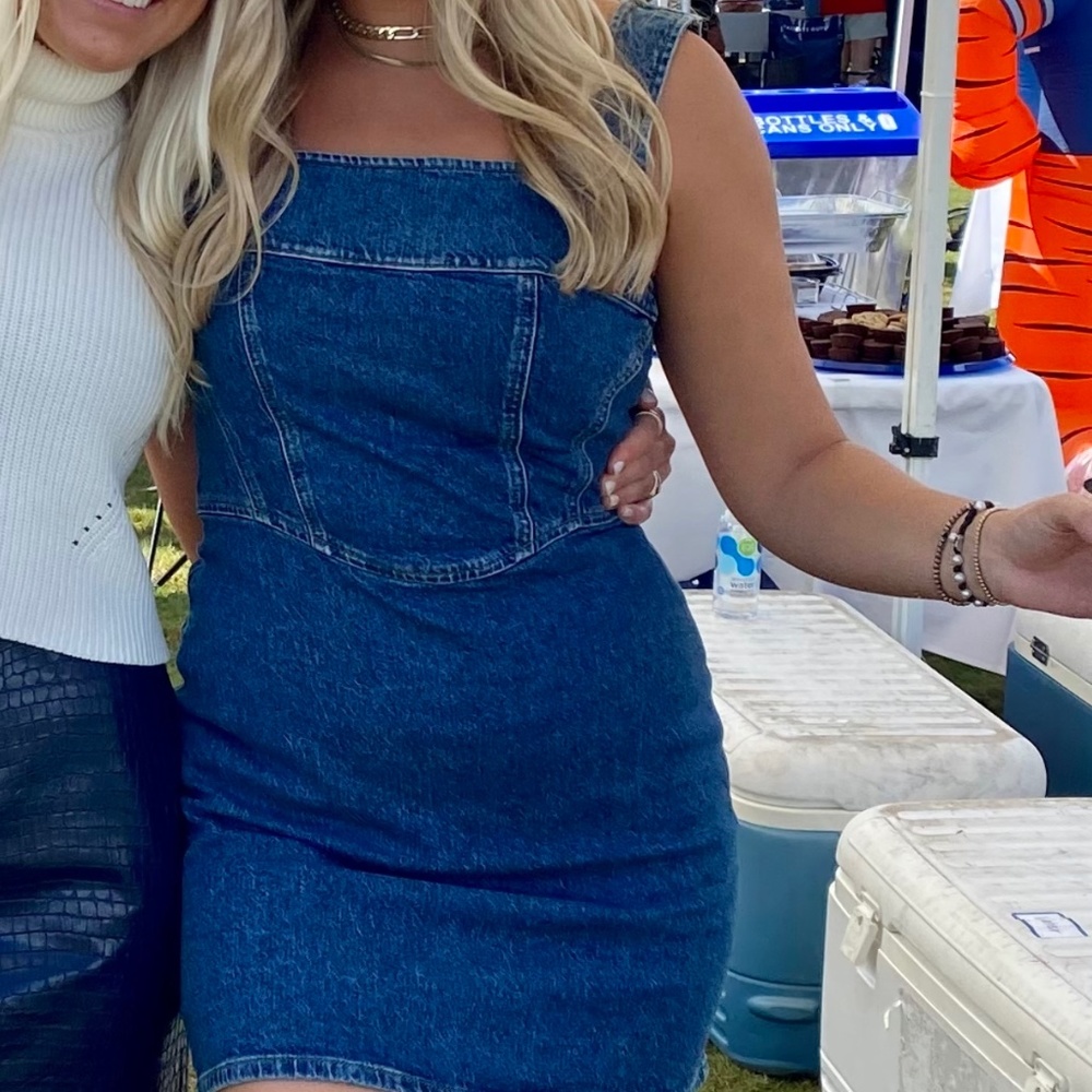 Reformation Denim Dress